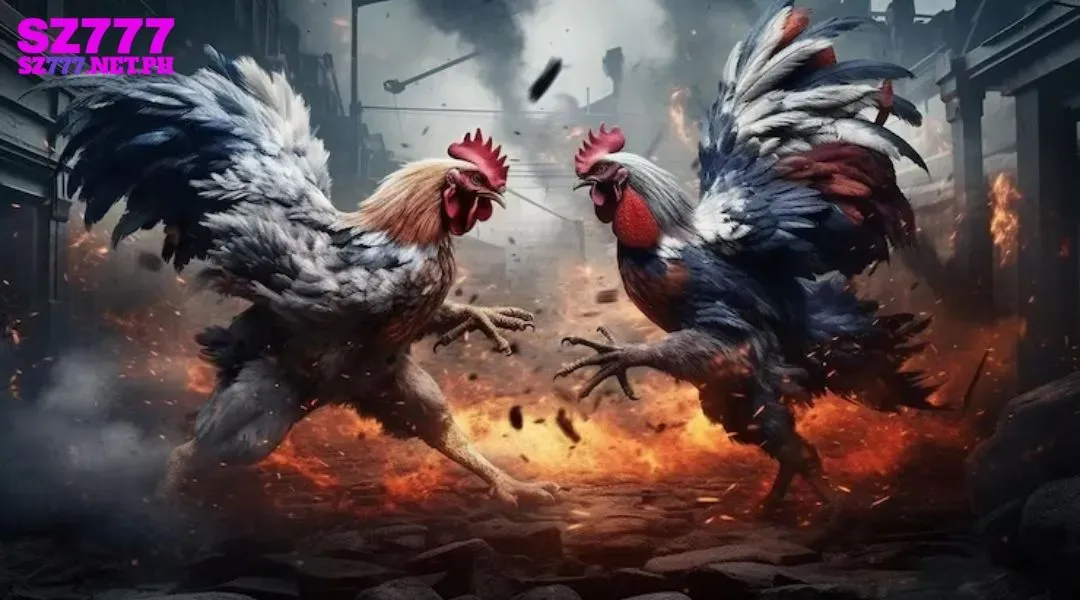 DS88 possesses many excellent advantages