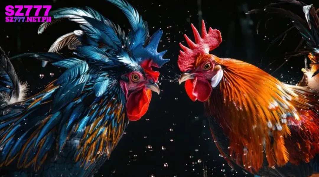 DS88 special matches organized for major tournaments